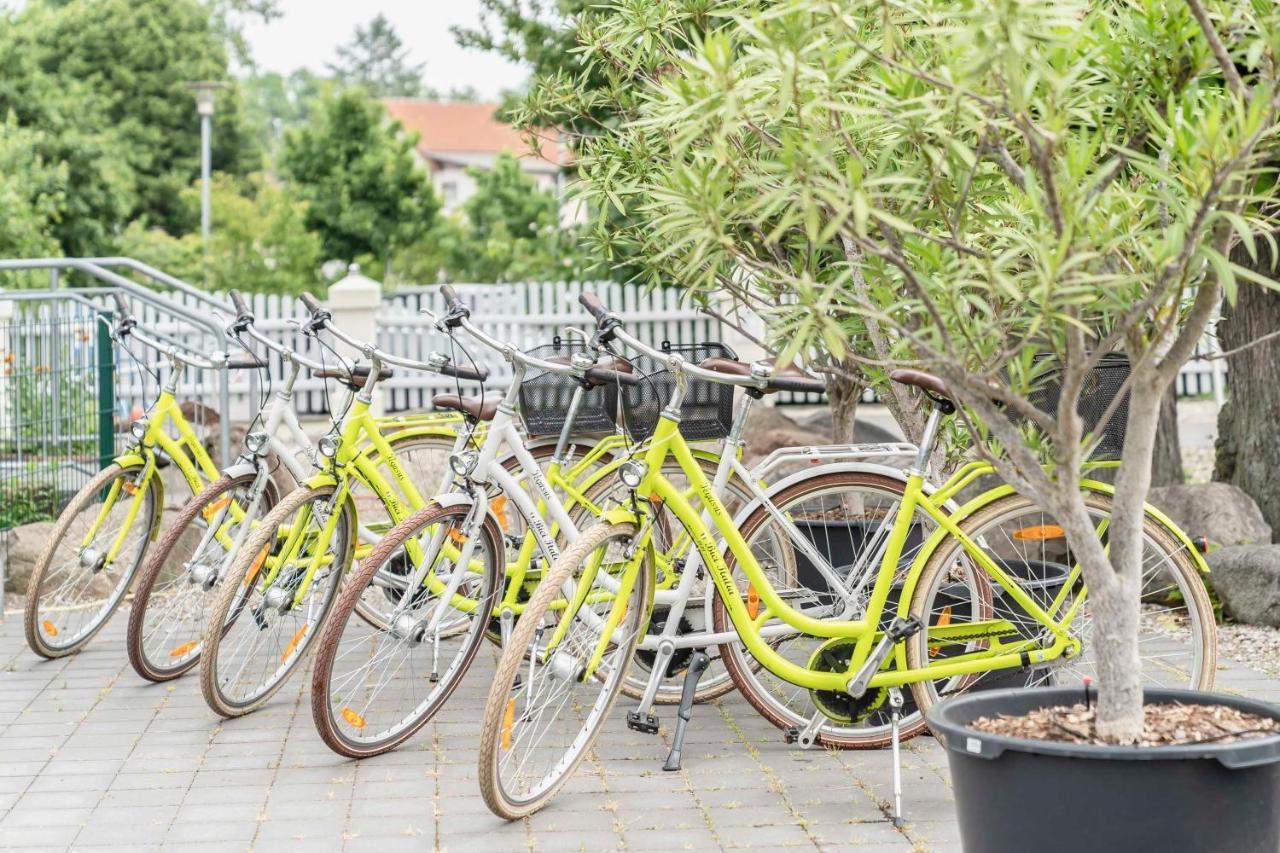 Hotel Markgraf Lehnin Ngoại thất bức ảnh